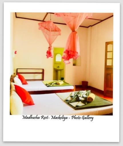 Madhusha Rest Maskeliya Exterior foto
